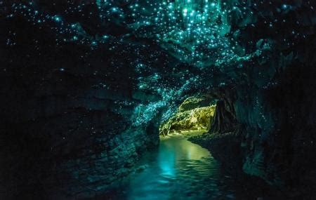 Te Anau Glow Worm Caves, Queenstown | Ticket Price | Timings | Address: TripHobo