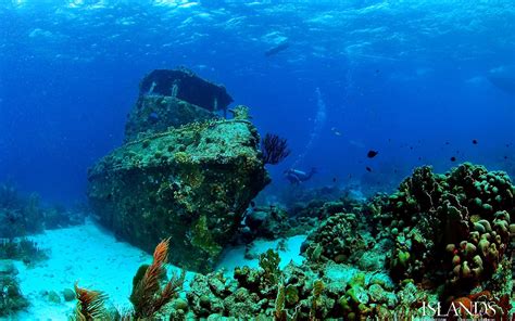 Shipwreck and Wreck diving, coral reef HD wallpaper download