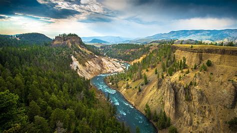 HD wallpaper: river and trees, landscape, Yellowstone National Park ...