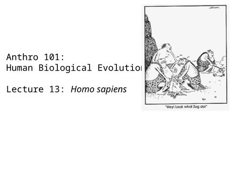 (PPTX) Lecture 13 homo sapiens mt dna - DOKUMEN.TIPS