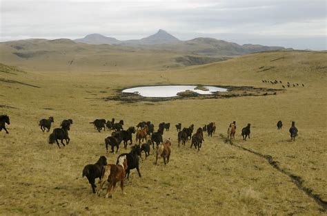 Rachel Imrie's Blog: Helicopter Flight, Tour of Umnak-November 1st, 2009