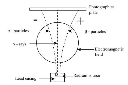 Draw a labelled diagram to illustrate how alpha, beta and gamma radiations can be distinguished ...