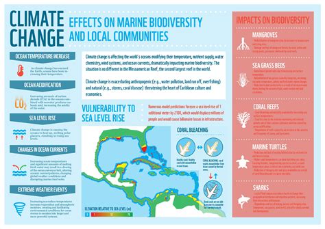 Climate Change Effects on Marine Biodiversity & Local Communities – Bifrost