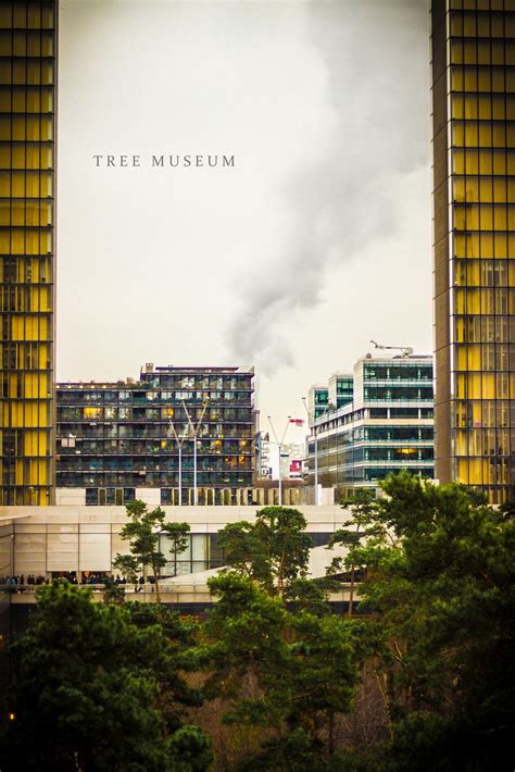 Tree Museum | They took all the trees and put 'em in a tree … | Flickr
