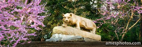Nittany Lion Shrine Photos by William Ames