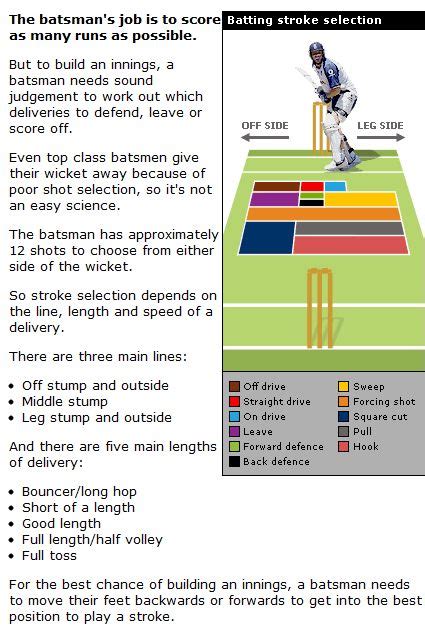 Image result for cricket shot selection | Cricket club, Cricket, The ...