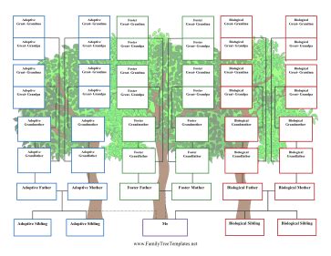 4-Generation Foster Family Tree Template