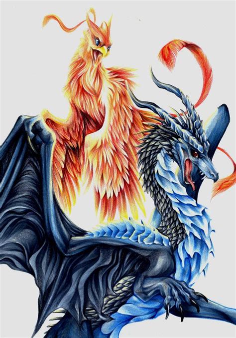 Combination | Blue dragon tattoo, Phoenix dragon, Dragon pictures