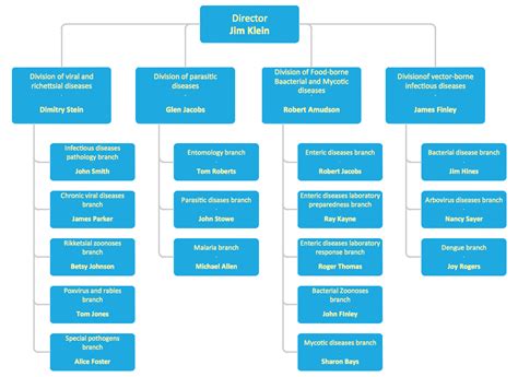 Examples of Flowcharts, Organizational Charts, Network Diagrams and More