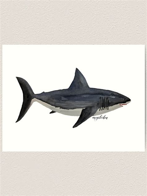 "Megalodon - prehistoric monster shark" Art Print by acrylicsandink ...