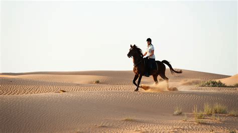 Desert Horse Riding at Winners Equestrian