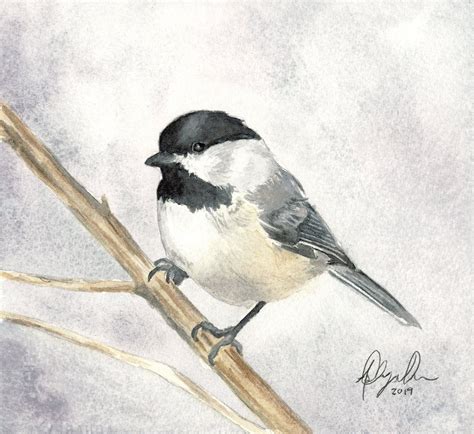 Black Capped Chickadee Fine Art Watercolor Print by Ashley | Etsy ...