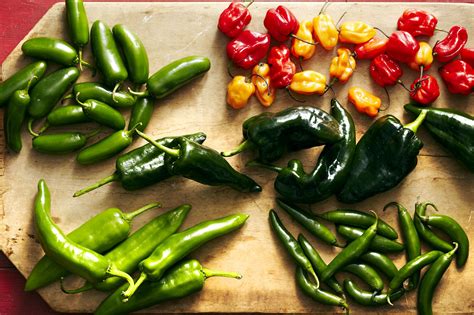 The 11 Best Hot Peppers to Add to Your Garden, Ranked by Spiciness