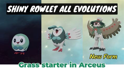 Shiny Rowlet Evolutions animation Datrix Shiny Hisuian Decidueye ...