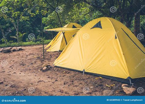 Camping in the Forest stock image. Image of light, forest - 65389943