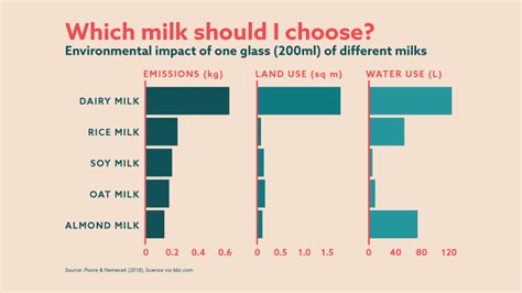 Got Milk Decision Fatigue? The Pain and Politics of Soy, Almond, Oat, and Cow’s Milks | VinePair