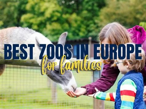 15 Best Zoos in Europe for Families (+ 2 Safari Parks!) - Mums on Flipflops