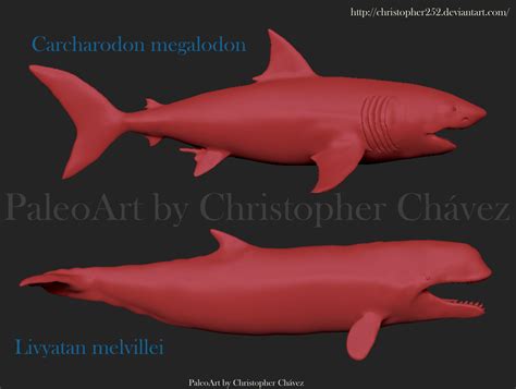 Livyatan vs Megalodon by Christopher252 on DeviantArt