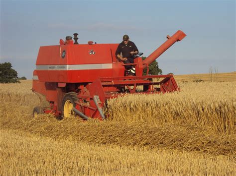 Massey Ferguson 187 Combine Harvester | Tractor & Construction Plant Wiki | FANDOM powered by Wikia