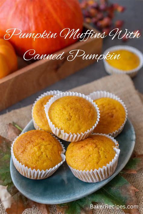 Pumpkin Muffins Recipe With Canned Pumpkin – Baker Recipes