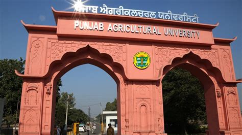 Punjab Agricultural University cancels UG entrance exams - ABPEducation