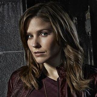 Erin Lindsay | Chicago PD Wiki | Fandom