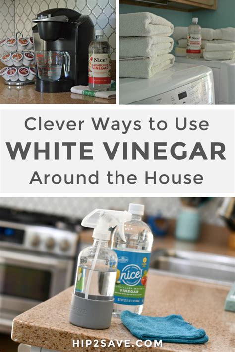 10 Best Ways to Use White Vinegar In Your Home | Hip2Save