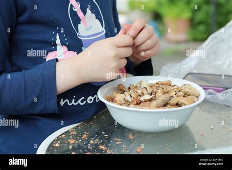 young girl shelling peanuts into a plate in the backyard Stock Photo - Alamy