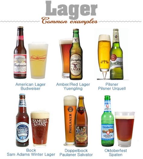 For the Beer Enthusiast