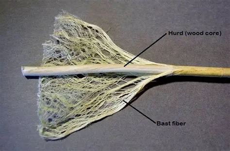 Hemp Fiber: Properties, Processing and Uses - Textile Blog