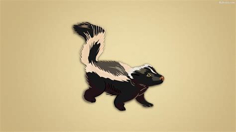 [2024] 🔥Skunk HD 4K Wallpaper / Desktop Background / iPhone & Android (1920x1080) - #447854