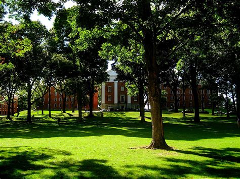 In Other Ivory Towers: Racist incident at Amherst College sparks # ...