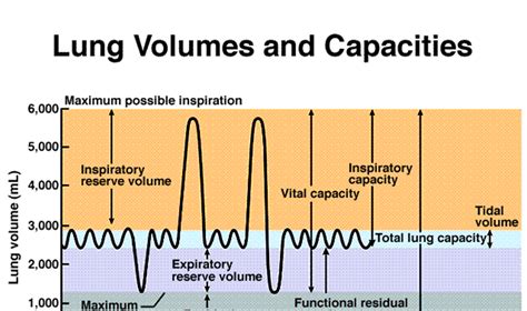 MBBS Medicine (Humanity First): Normal Values and Concentrations (Respiratory System)