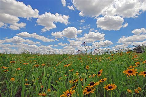 The Prairie - Sandburg's Hometown - by Barbara Schock - 15 May 2017