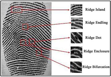 Fingerprint Enhancement, Minutiae Extraction and Matching Techniques