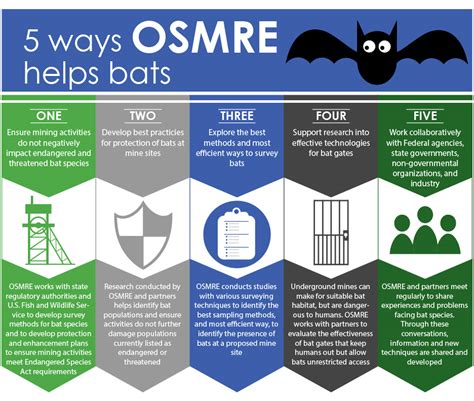 Bat Conservation and Mining | Office of Surface Mining Reclamation and Enforcement