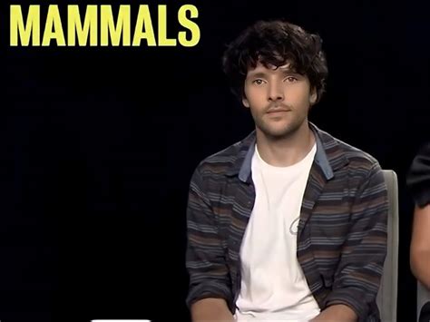 Colin Morgan Mammals Interview | Mammals, Colin morgan, Interview