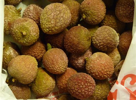 June 15th 2018 is the beginning of Lychee season! - Page 2 - General Fruit Growing - Growing Fruit