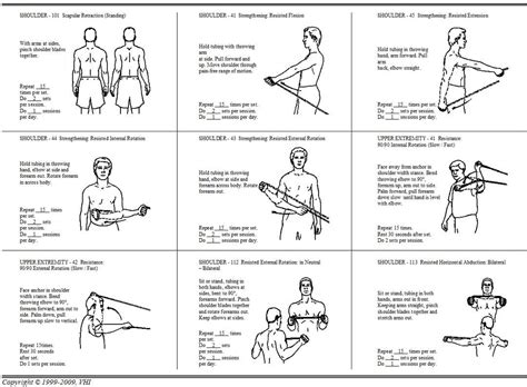 Back Strengthening Exercises Using Resistance Bands | Shoulder rehab exercises, Shoulder workout ...