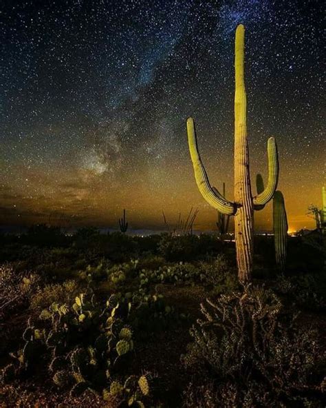 Milkyway in Saguaro National Park. Photo by Sean Parker. | Beautiful ...