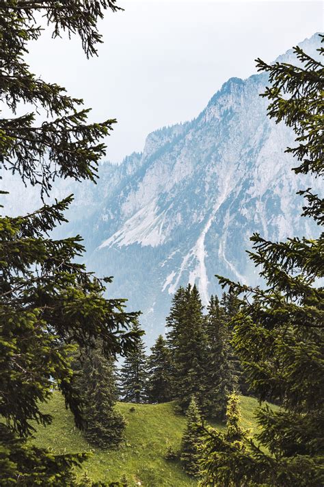 Bavarian Alps, Germany Photo by: @mtlmonti - mtlmonti