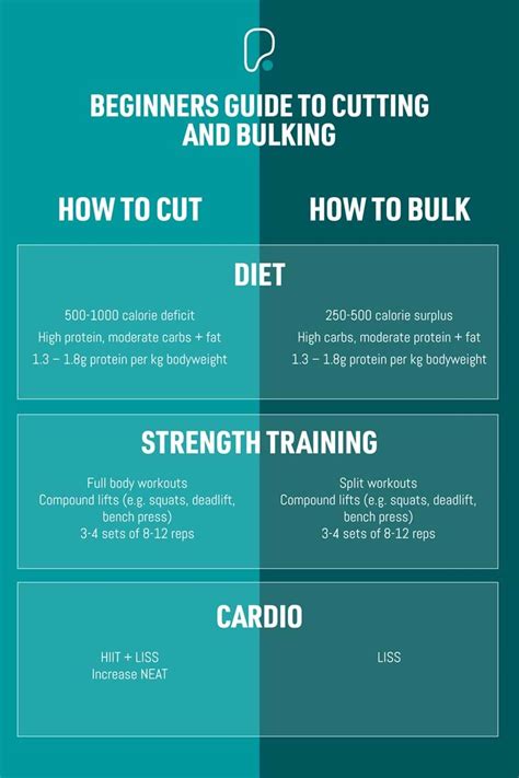 Bulking Workout Routine Pdf | EOUA Blog