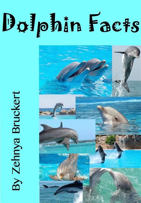 Dolphin Facts - Early non-fiction - Free Kids Books