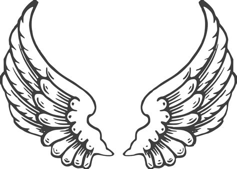 Download Wings, White, Wing. Royalty-Free Vector Graphic - Pixabay