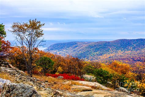 Fall Colors from Bear Mountain Photograph by William E Rogers | Fine ...