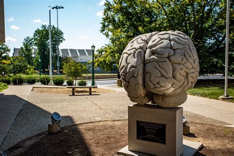 World's largest anatomically-accurate brain sculpture: Bloomington, Indiana