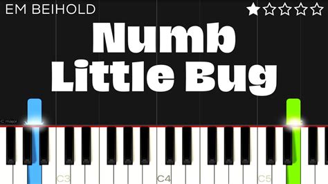 Em Beihold - Numb Little Bug | EASY Piano Tutorial - YouTube