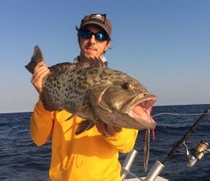 5 Surefire Summer Grouper Fishing Tactics | Grouper Fishing Tips