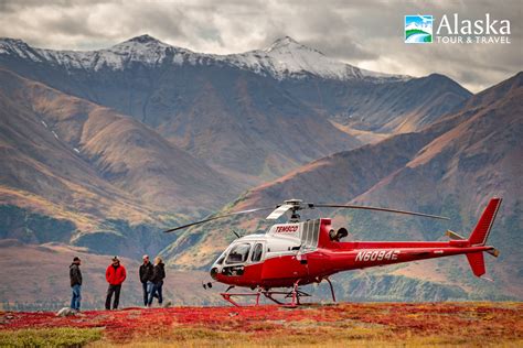 Denali Helicopter Heli-Hiking Tour | AlaskaTravel.com