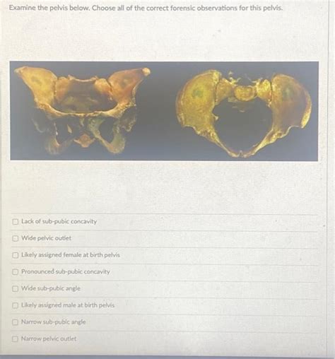 Examine the pelvis below. Choose all of the correct | Chegg.com